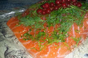 Somon gravlax
