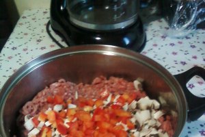 Chec de carne