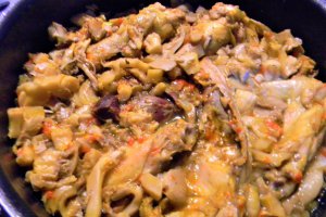 Pui cu ciuperci pleurotus