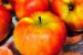 Prajitura vanilata cu mere, prune uscate si nuca-6