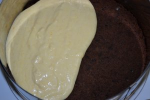 Tort de ciocolata cu mure si piersici - Reteta nr. 100