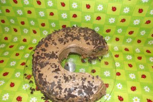 Tort C