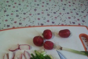 Salata de primavara