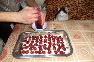 Tort de turta dulce si visine