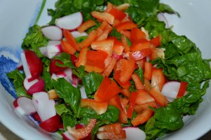 Salata cu spanac, ridichi si cas de oaie