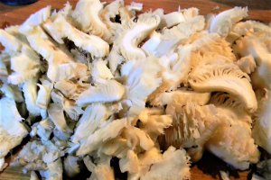 Ciorba falsa de burta - cu ciuperci pleurotus