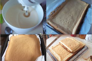 Tort Iorgo
