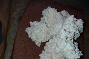 Desert prajitura cu crema de biscuiti si lapte