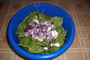 Salata Fantezie