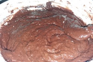 Desert tort aniversar