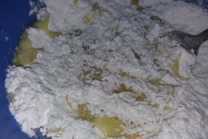 Desert tort aniversar
