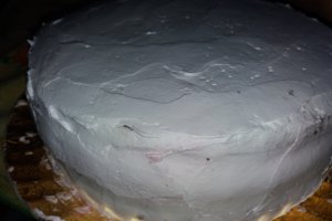 Desert tort aniversar