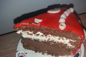 Desert tort aniversar