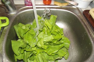 Salata (de dieta, ieftina)