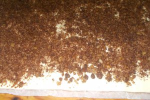 Desert melci cu nuca si cacao