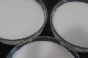 Spuma de gris