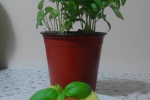Spaghete cu avocado si rosii
