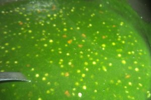 Placinte de post cu urzici si tapioca la cuptor