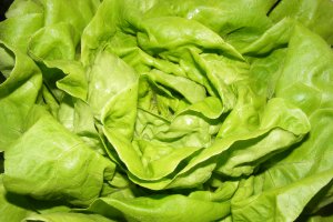 Supa de salata verde