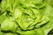 Supa de salata verde-1