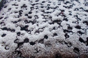 Desert negresa de post cu coacaze negre