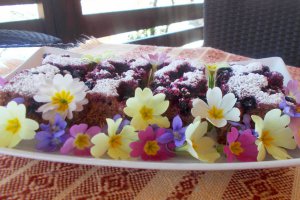Desert negresa de post cu coacaze negre
