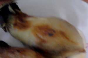 Musaca