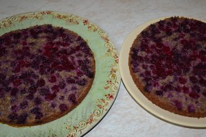 Desert tort cu crema de portocale si mure - reteta nr. 200