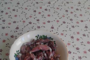 Pui de balta pane