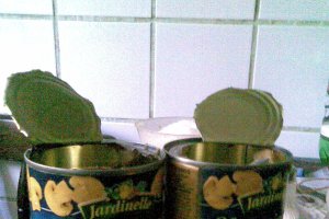 Snitele de porc cu ganitura de ciuperci si dovlecei si cartofi