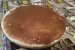 Desert cheesecake cu cocos si alune de padure (fara coacere)-0