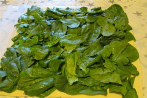 Aperitiv rulouri cu spanac si branza