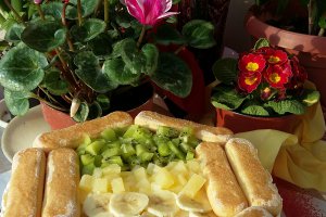 Desert tort la rece cu crema de iaurt si ananas