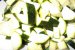 Ciorba de zucchini cu leurda-4