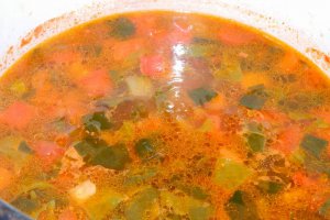 Ciorba de primavara