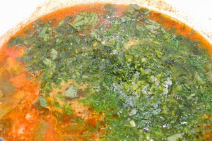 Ciorba de primavara