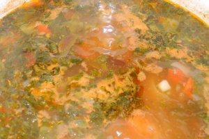 Ciorba de primavara
