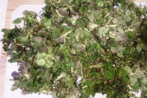 Ciorba de urzici