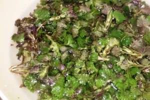 Ciorba de urzici