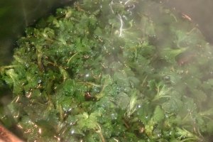 Ciorba de urzici