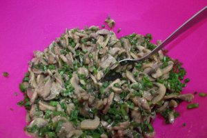 Drob de champignons