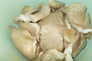 Snitele din pleurotus in fulgi de mei cu sos de rosii si cartofi natur