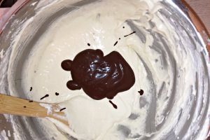 Desert chec cu cacao si nuci