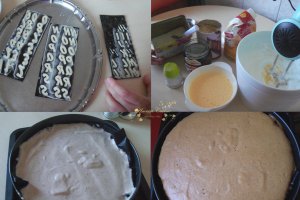 Desert tort Lela