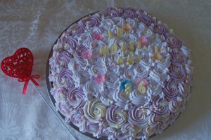 Desert tort Lela