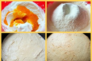 Desert tort amandina