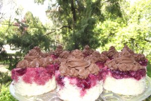 Desert prajitura cu visine si ciocolata