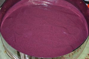 Desert tort cu crema de afine, caise si ciocolata