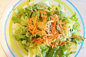 Salata Primavara