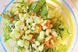 Salata Primavara